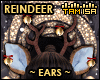 !T Reindeer Ears