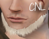 [CNL] Blond beard Add-on
