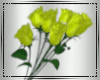 😻 Yellow Rose+ Poses