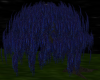 Weeping Willow Blue