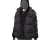 Canada x dio