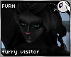 ~Dc) Furry Visitor Furn