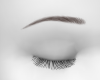 Kittens Eye Brows