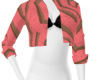 RETRO ZEBRA