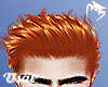 Ginger Haircut - Lucas