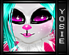 ~Y~Bunny Head