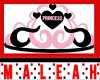 Pink Princess Tiara