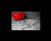Love is full of Stupidit