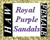 Royal Purple Sandals - F