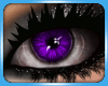 Gleam eyes - Purple