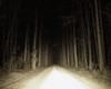 long dark road