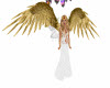 Golden Angel  Wings