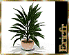 [Efr] Plant Interior 20