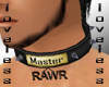 Guys neck master collar