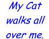My Cat walks all over me