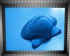 Blue Seashell Picture