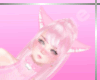 [T] Sweet Cat in Pink Outfit