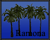Beach Palms