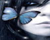 Blue Butterfly #2