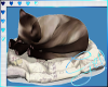 [Gel]Chic Attic Sleepcat