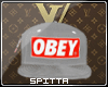 Obey Grey Snapback