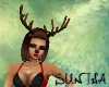 )S( Reindeer horns&nose