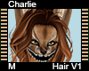 Charlie Hair M V1
