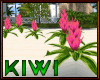 Pink tropical flower