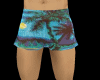 Beach Sexy Boxer/Short