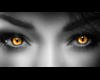 amber eyes picture