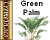 CDC-Plant-Palm Green
