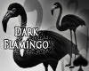 Cat~ Dark Flamingo