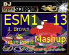 ESM1 - 13
