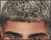 My Head 2020