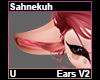 Sahnekuh Ears V2