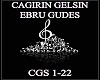 CAGIRIN GELSIN E.GUDES