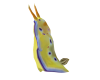 sea slug Yellow