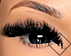 Luxe lash extensions