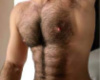 sexy hairy chest