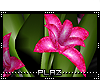 #Plaz# Glitter Plant II