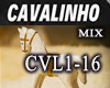 CAVALINHO (REMIX)