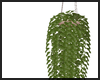Hanging Plant V1 ~