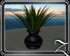 ~Z~ Girls Planter 2