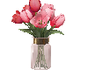 Pink Tulips