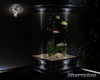 Dragon Fish Tank
