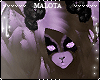 Doa Furry Ti