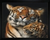 Tiger Love frame