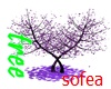 purple sakura tree
