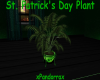 St. Patrick's Day Plant