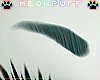 Meow! Kelpie Brows